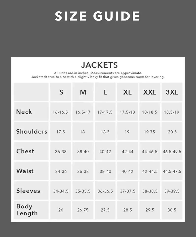 NEW Women's Avirex Cropped Icon Blue Leather Jacket - Image 3